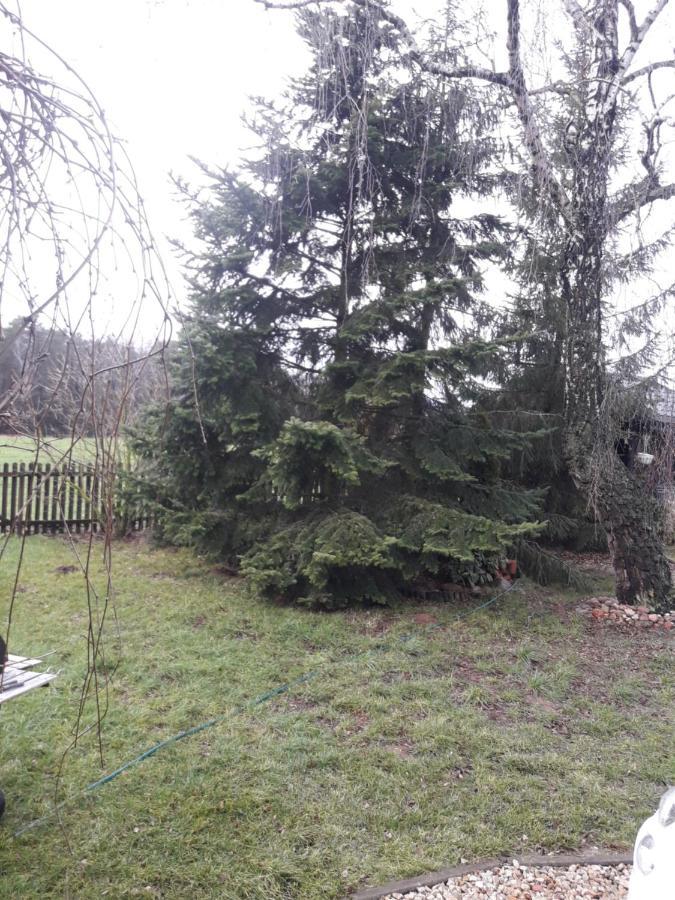 Farma Aktywnego Wypoczynku Dagaspa Repki Exterior foto